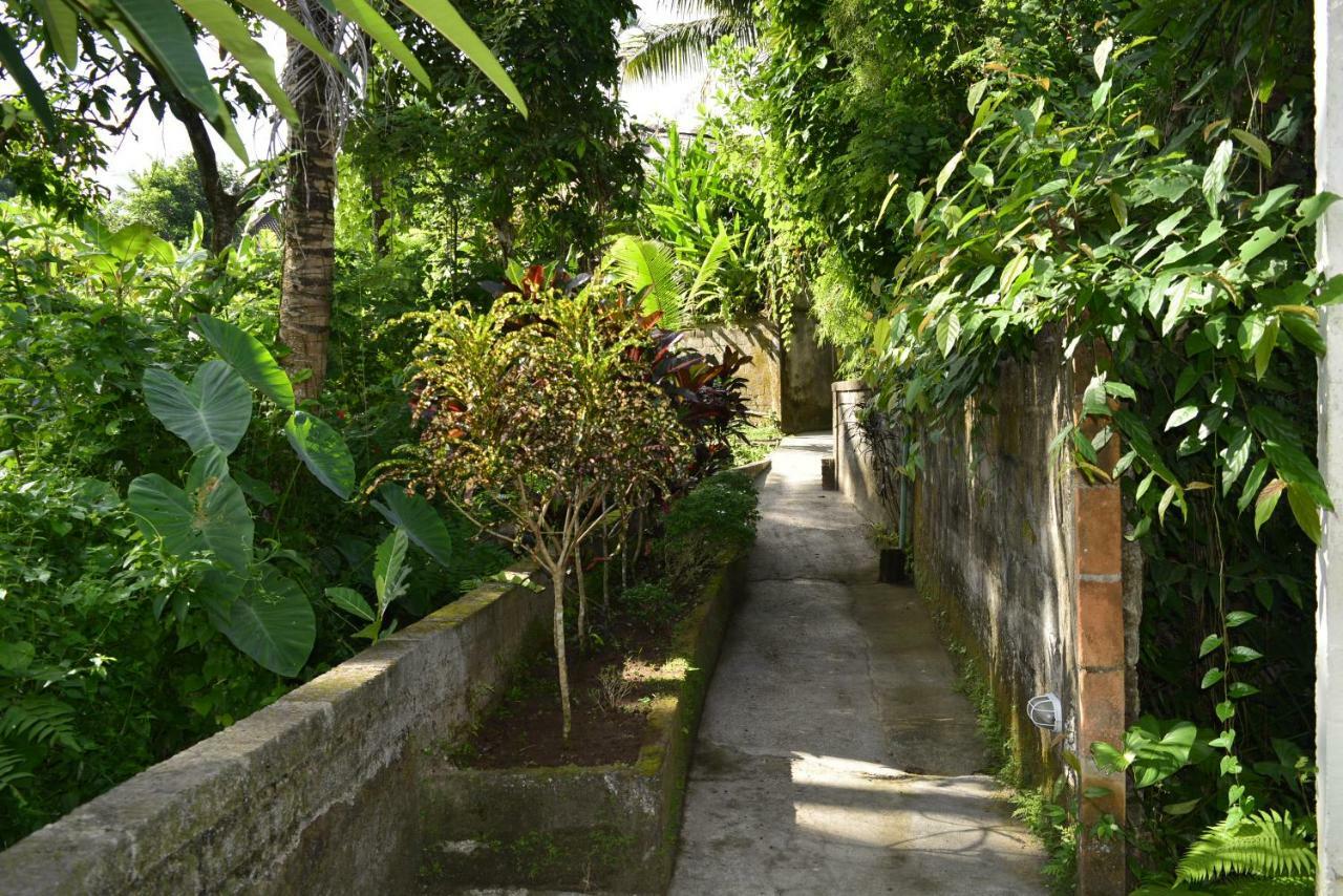 Villa Bindi อูบุด ภายนอก รูปภาพ